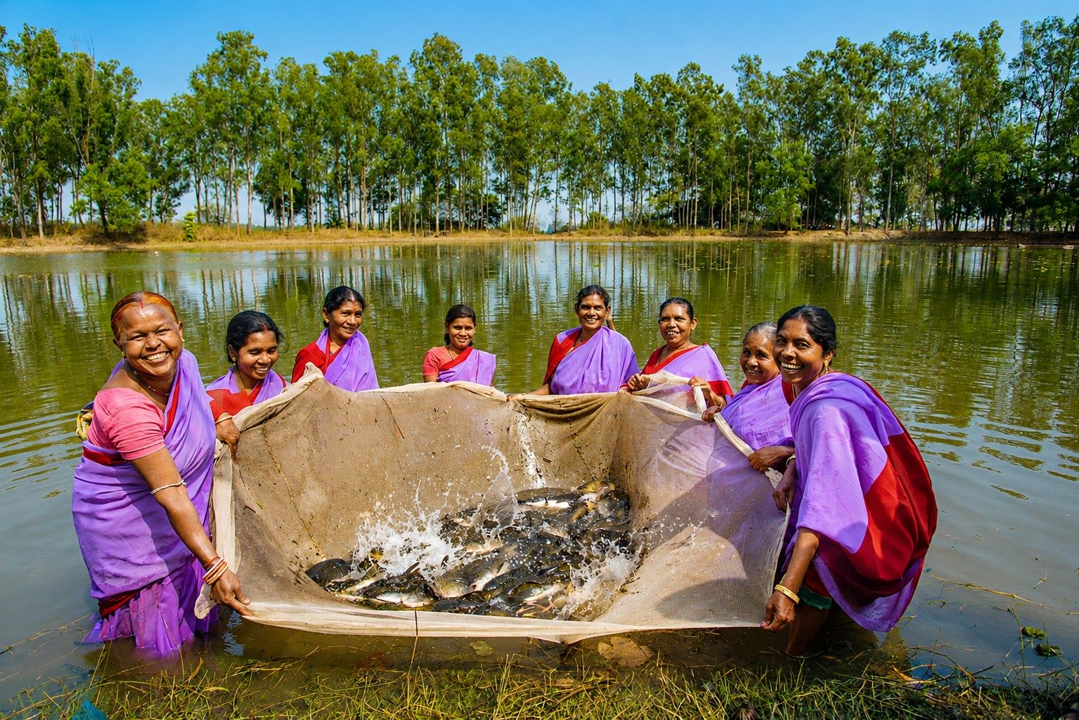 Fishery