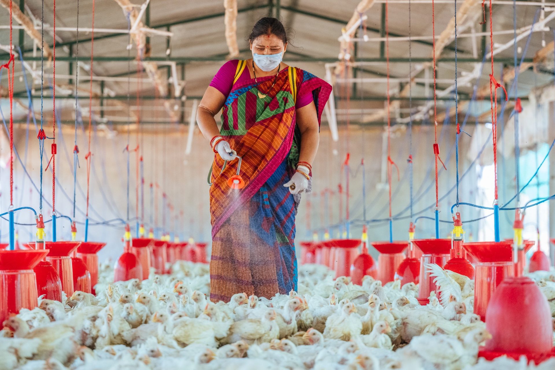 Poultry Farming