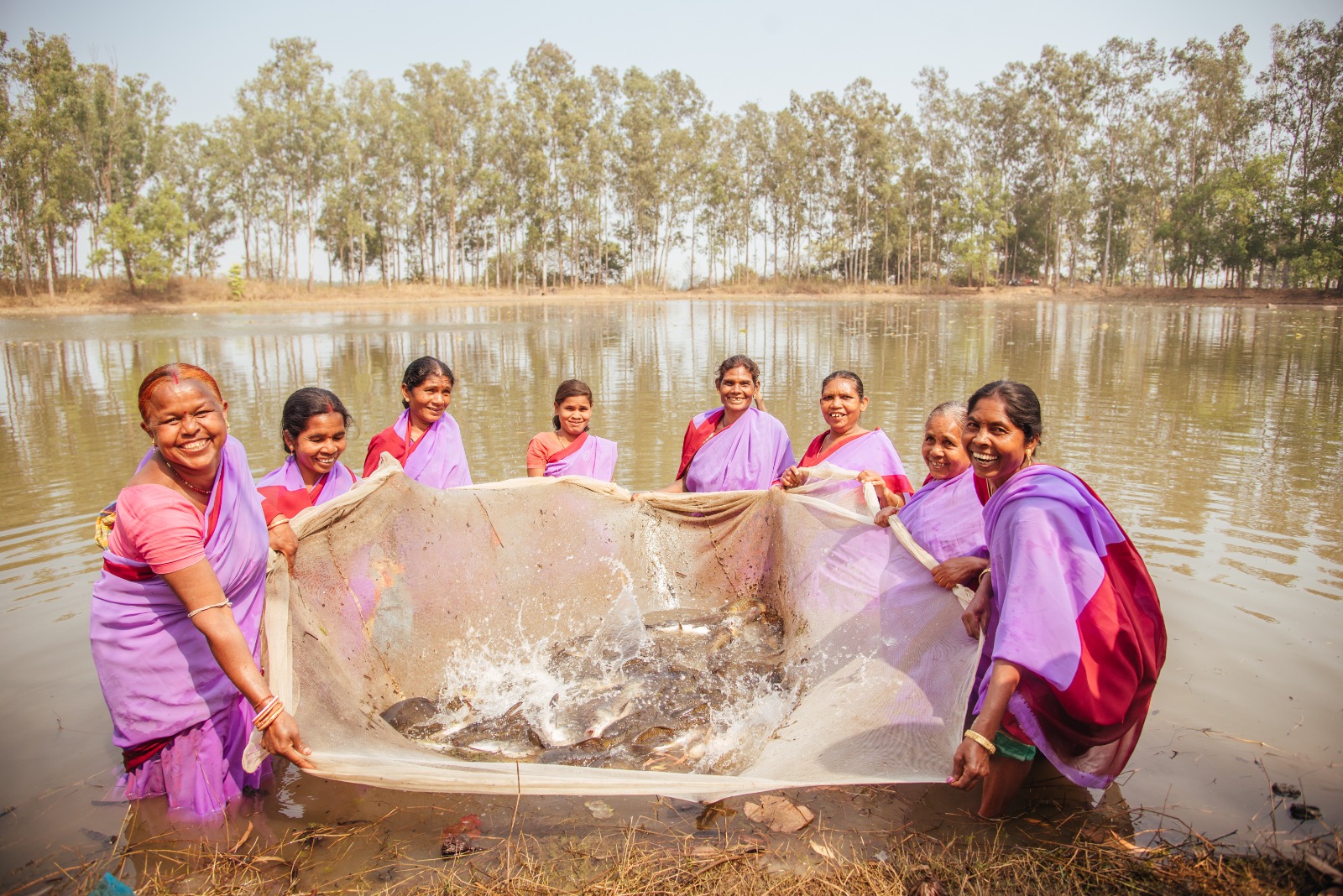 Pisiculture